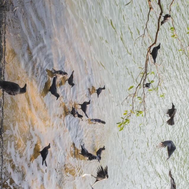  shui|陈燕：光不度，shui水成文