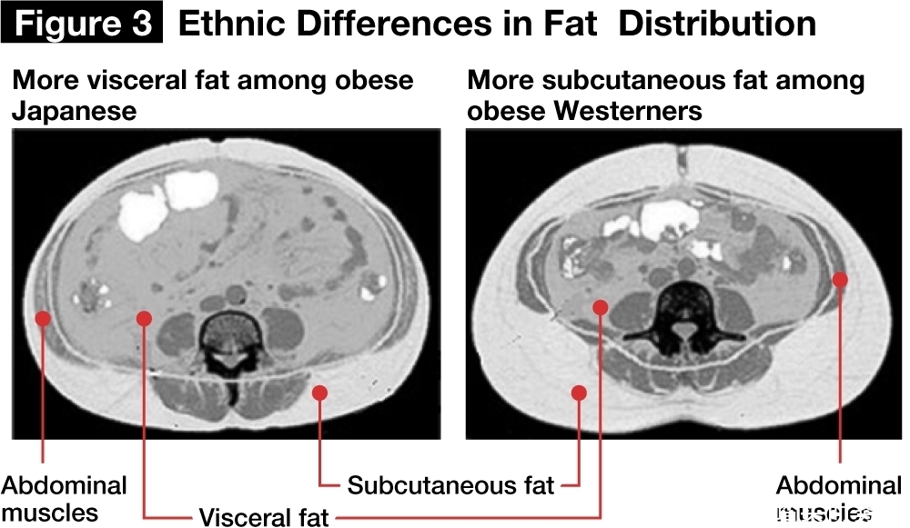 营养|日本百岁老人增至8万,营养丰富的日料功不可没,每口都是神仙滋味