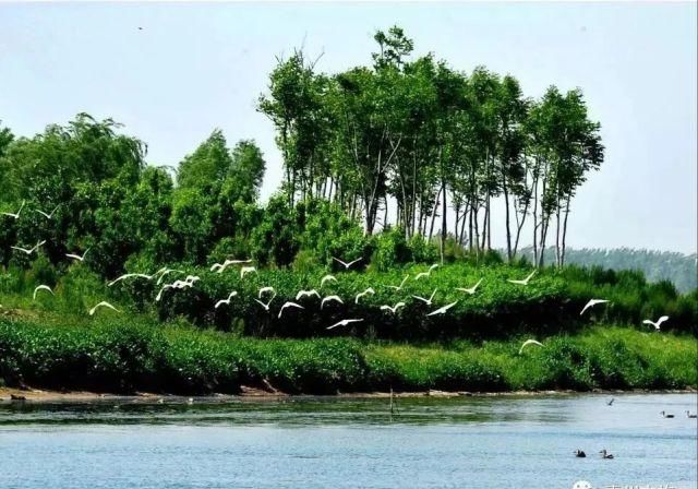 身份证|这些景区凭身份证就能进，你知道吗？