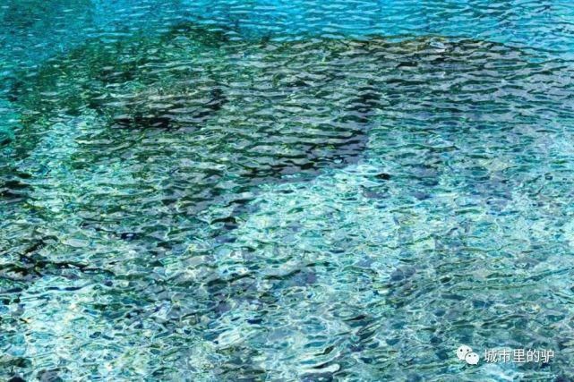  长白山|三伏暑热天，让我带你去这些只有25°的地方纳凉吧！