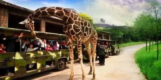  打造|浙江广电新媒体打造 国内首档青少年户外励志综艺《奔跑吧少年》