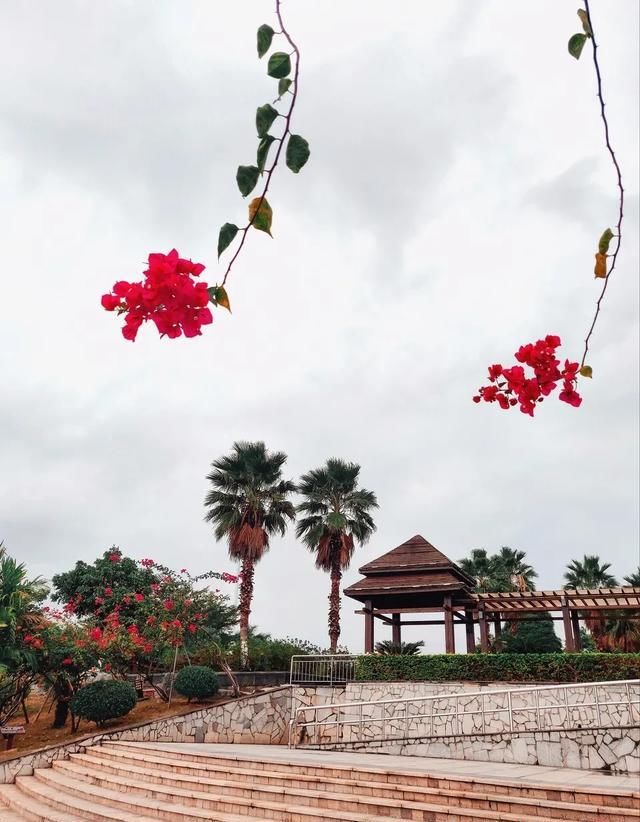 海中|中国这个美丽海滨！城在海中、海在城中，藏着绝妙生活却少有人知