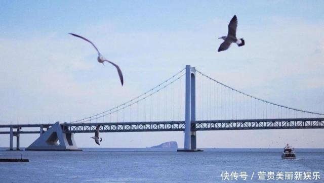 看过|看过太多的海,仍为这座“北方明珠”着迷