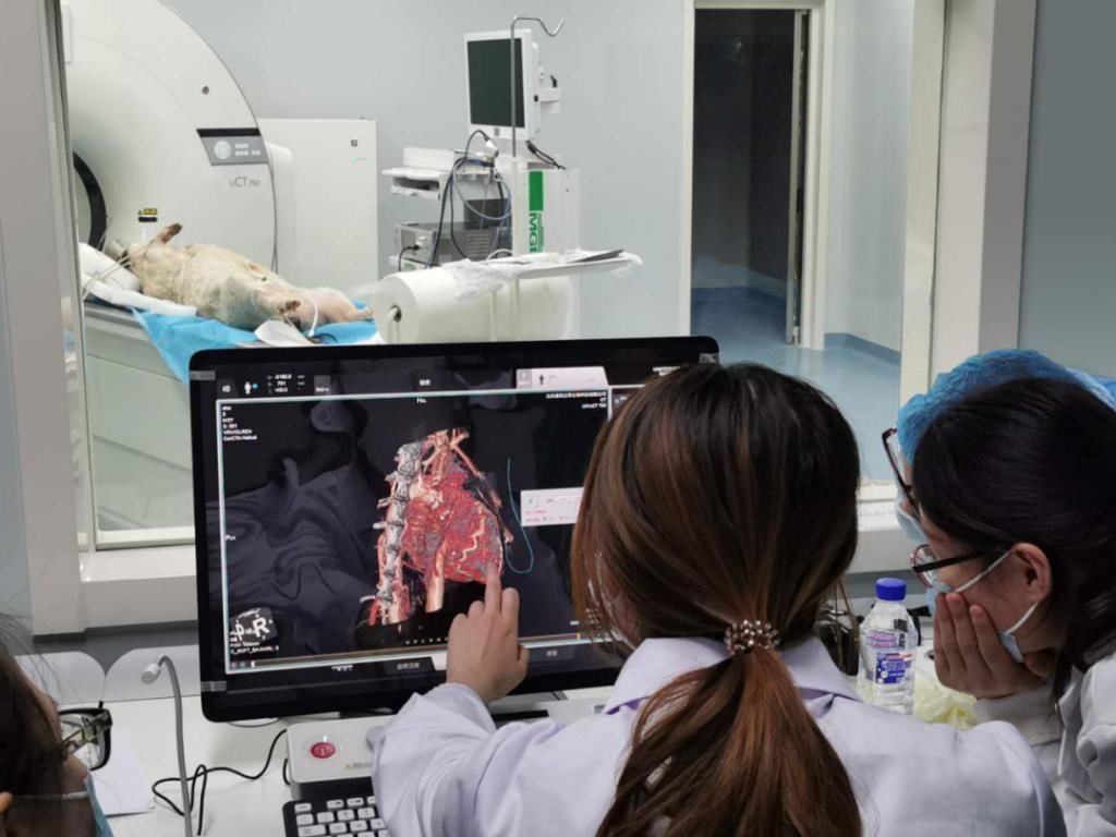  中关村|中关村医疗器械园生物相容性评价平台侧记