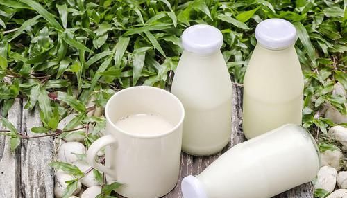  牛奶|同样都是牛奶，“纯牛奶”和“鲜牛奶”有啥区别？以后别再买错了