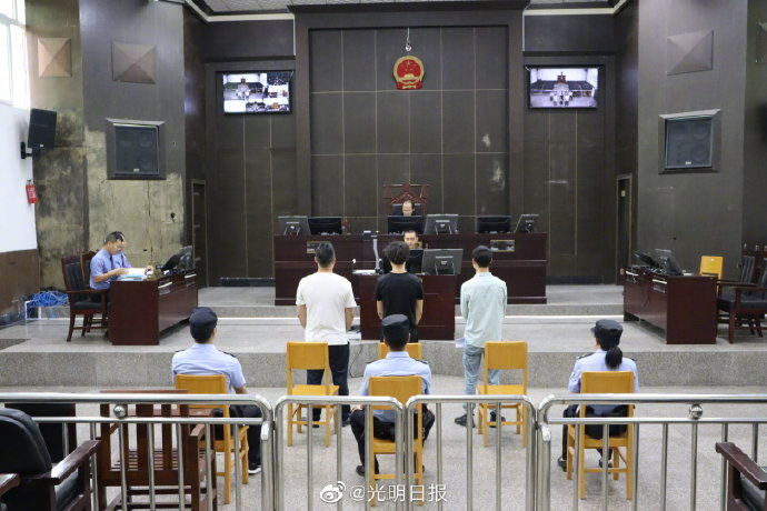 判刑|三男子捕捉23只野生蛙被判刑