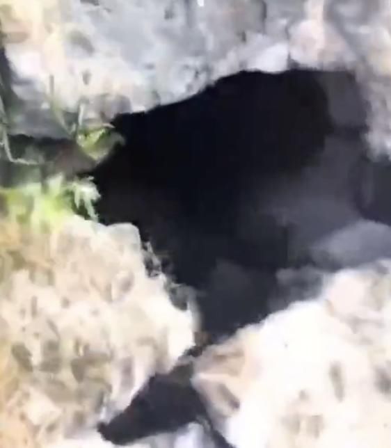  岸边|7岁孩子河里游泳突然不见了！再一看，岸边涵洞伸出一只手……