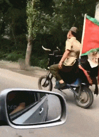  求生欲|搞笑GIF：这老鼠的求生欲还很强么