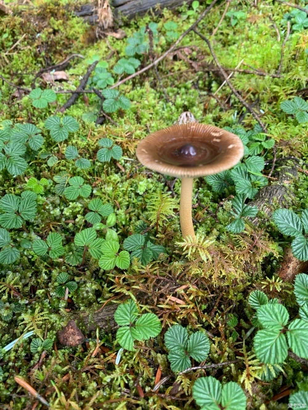  夏天|终于走了宝康线，夏天出行真是拼人品