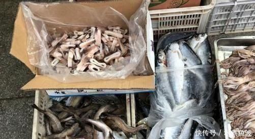  鲫鱼|被人误解最深的鱼，因冷冻被人嫌弃，其实它比鲅鱼香，比鲫鱼营养