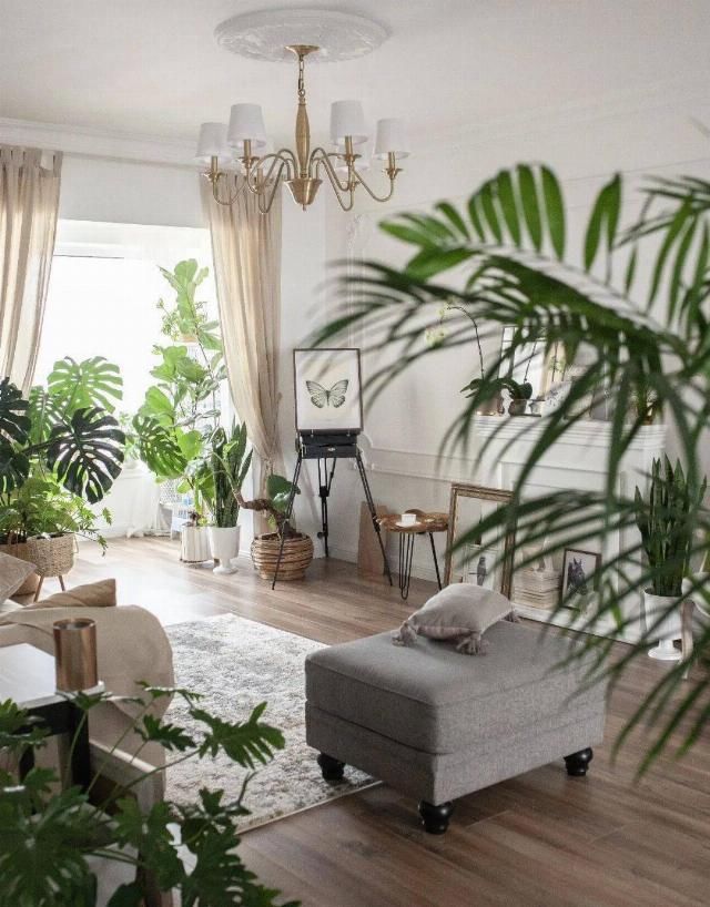  吊钟|她们的家，美得很让人种草