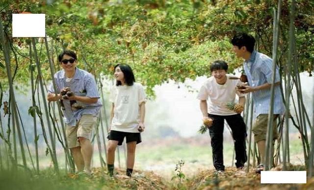  吴昕|《向往的生活》，何炅护犊子吴昕，疑似回怼杜华：融入？你试试