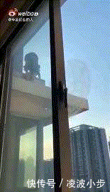  令人|女孩的诡异行为令人细思极恐！承认孩子的恶，就那么难吗？