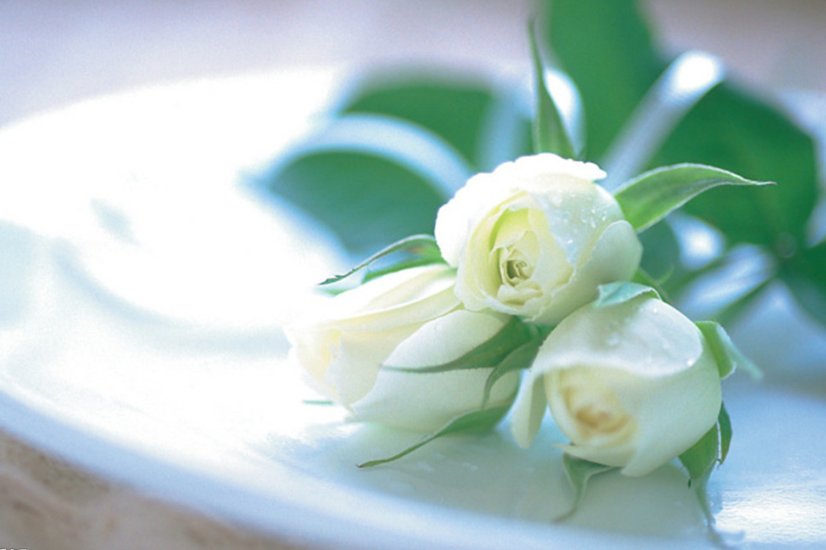  孩子|最有“儿女福”的三个生肖女，孩子个个有出息还孝顺，超乎想象