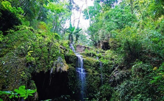 生长|云之南，一个生生不息、万物生长的地方