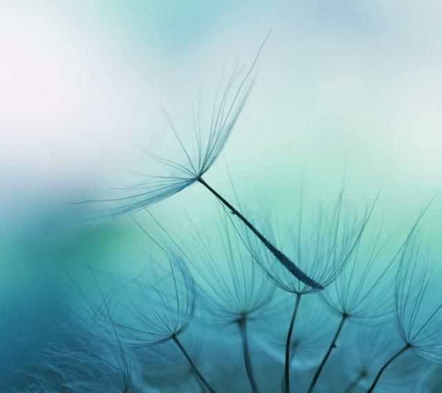 微笑|有些人，你再用心争取也会无缘，请微笑离开