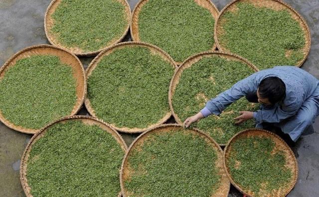 茶水|泡茶时的第一泡洗茶水脏吗？有必要倒掉吗？