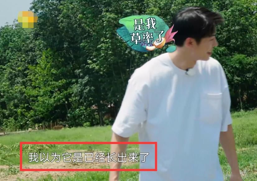  西瓜|许光汉也卖白痴人设了？摘掉未熟西瓜，何老师表情有内涵