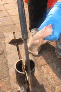  豪放|搞笑GIF：姑娘吃饭真豪放，这是在外面不是自己家哦