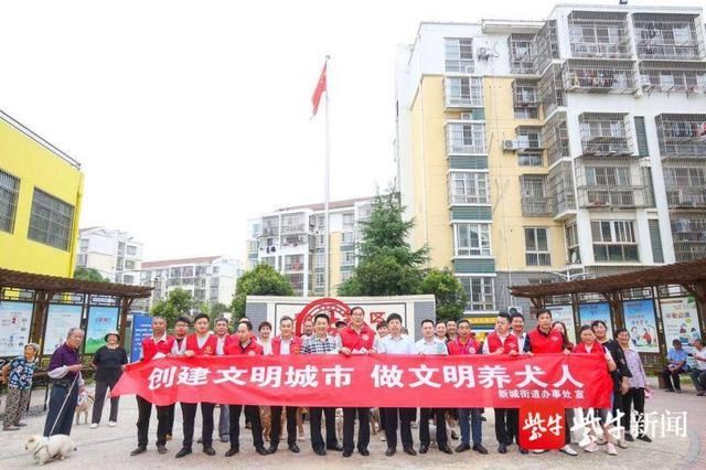 盐城|向不文明养犬说“不”！盐城开展养犬专项整治行动