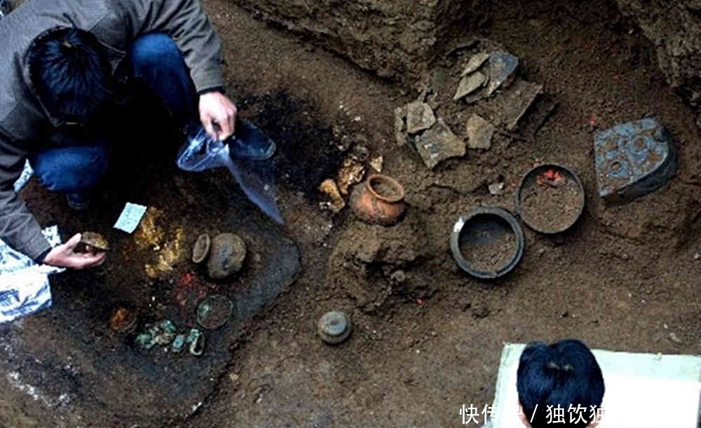专家|2000多年历史的古墓,爬出一只“乌龟”,周围人的脸色都变了