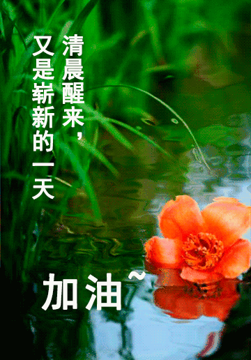 镜子|清晨到,对着镜子照,照一照,笑一笑,所有烦恼都跑掉,早安