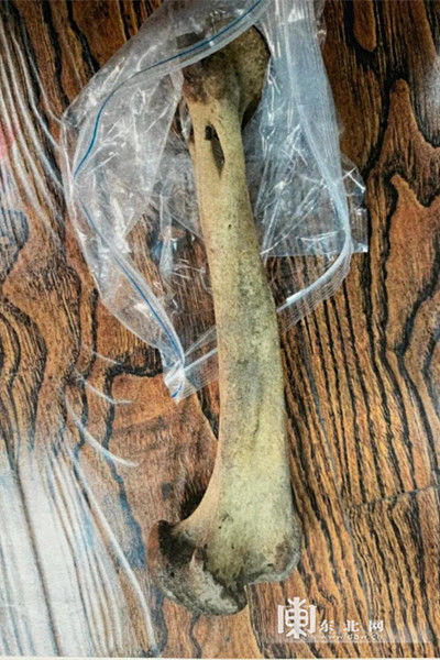  虎骨|一根虎骨，获刑五年！