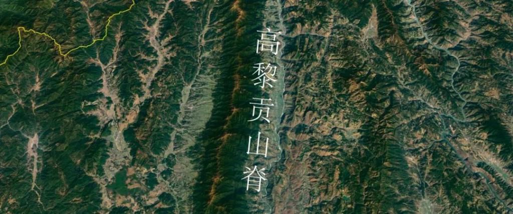  鼻涕|掠食者日志 | 560_可以吸的鼻涕果