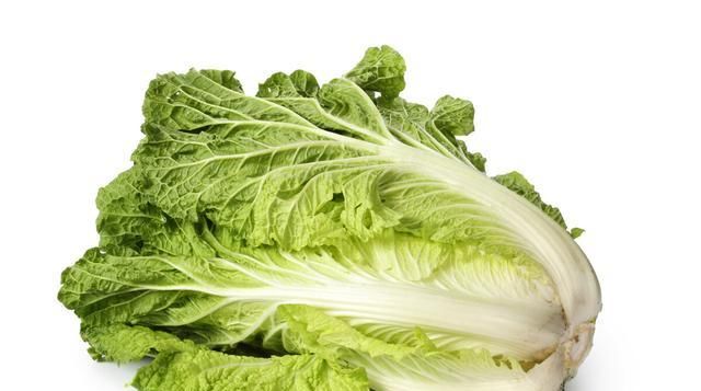  高产|夏季无公害大白菜高产栽培管理技术，及病虫害防治措施，增加产量