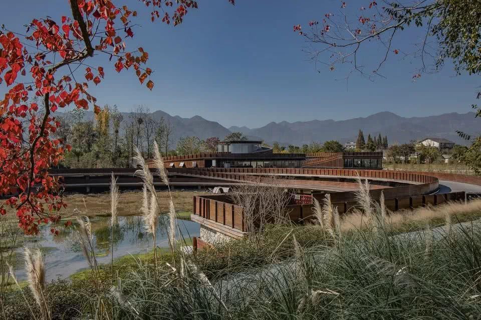  乡村|DnA建筑事务所的10个实践：公共建筑的针灸介入，是一种修复