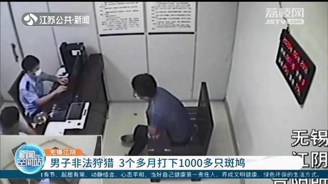  三有保护动|男子3个多月非法狩猎1000多只斑鸠 民警：20只就构成刑事处罚
