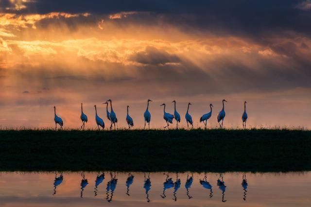  啃着|人生就像啃鹅头：啃着啃着，就有了高潮