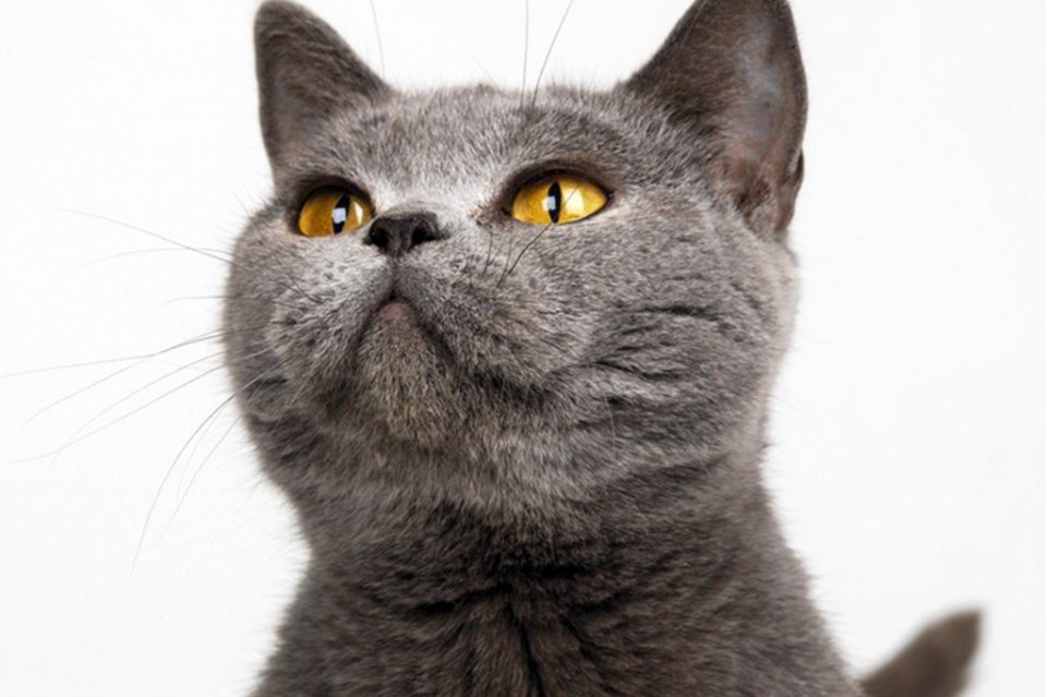 职场|职场风云--第二十七章 王成忽悠朴元树