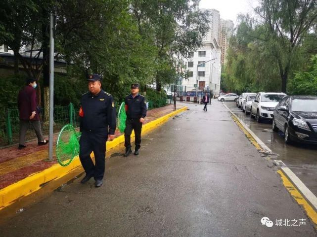 城北区|城北区：大力开展不文明养犬专项整治