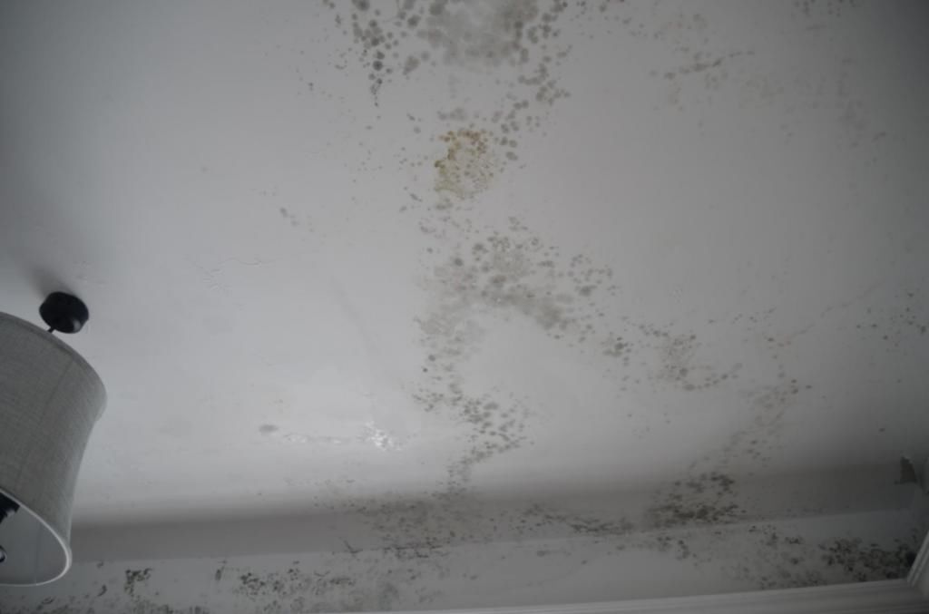  小区|曝光！涡阳这小区的房子不敢住了！推卸责任！业主苦不堪言...