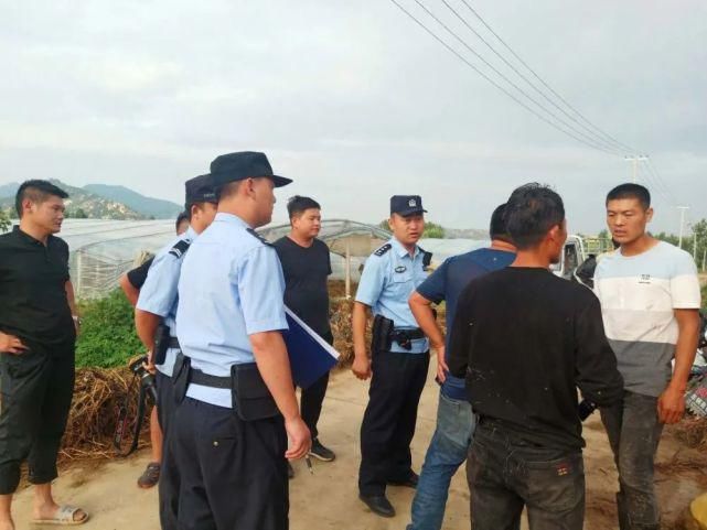  薛庄|一运输黄牛的车辆在薛庄发生侧翻......