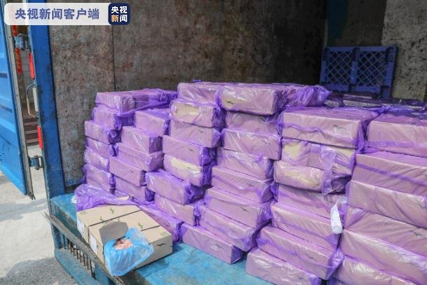 警方|深圳警方查扣涉走私冻品508.39吨 346人落网
