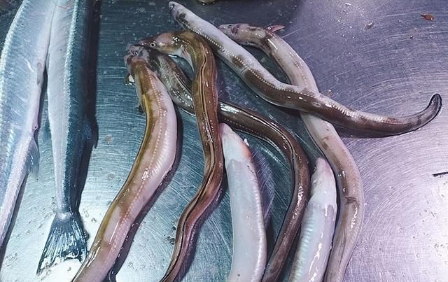  保鲜|鱼类保鲜全攻略，卖鱼人三十年的老经验8个方法，让你的鱼更新鲜