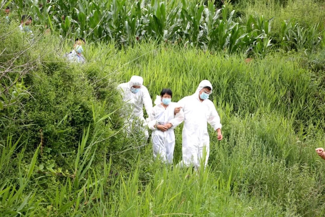  姬某|不正当关系被发现，妻子与情夫杀死丈夫，逃亡30年后年近古稀被捕，被害者被埋在山坳至今