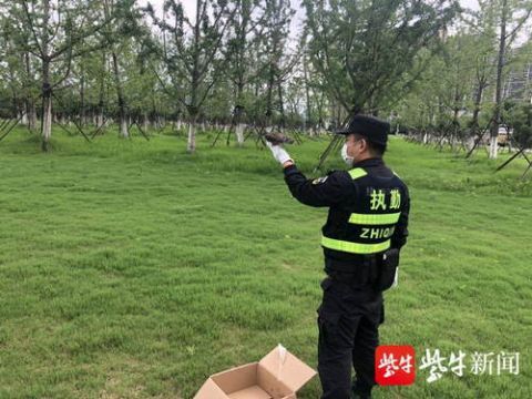  受伤|市民捡到受伤山斑鸠，民警仔细检查后放飞蓝天