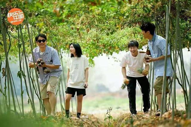 向往|《向往的生活》到底出了什么问题