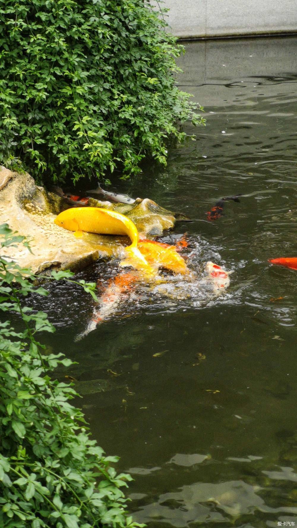  博物馆|游览中国园林博物馆