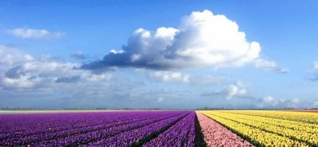  星座|嘴巴不甜但心最真！这类星座男遇见请把握住！