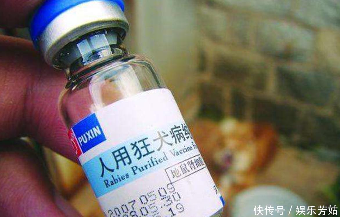 疫苗|狂犬疫苗为何无效?男孩被咬13天后去世,差两天注射第四针