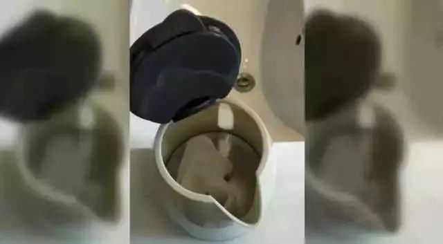 早好|为什么住酒店时，要倒一壶开水在马桶里？看完恍然大悟，早知早好