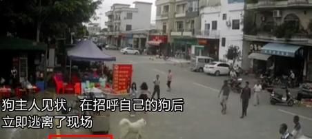  身亡|老人被狗绳绊倒后身亡，遛狗女子逃离现场，依旧没抓狗绳