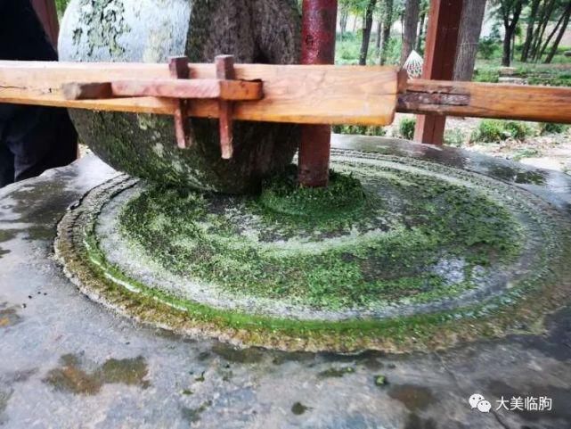 乡村|临朐、乡村、美食、熟悉的画面