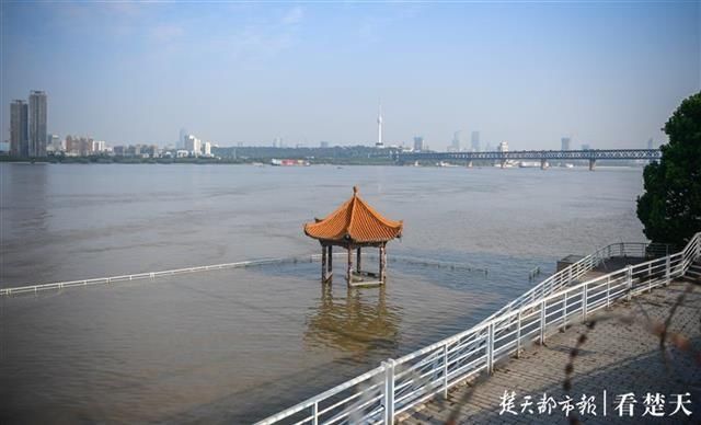洪水|洪水“标尺” 武昌黄花矶凉亭在江水中露真颜