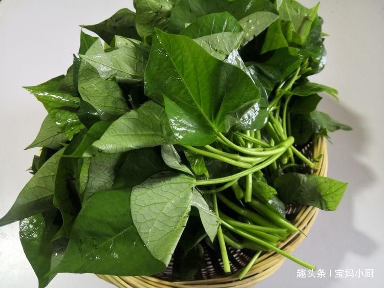 红薯叶子|和红薯是一家的菜,4元一把,晚餐来一盘,吃着肠胃舒服还减肉