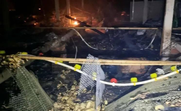  养殖户|心痛！养猪场4000只小猪葬身“火海”，网友：好可怜